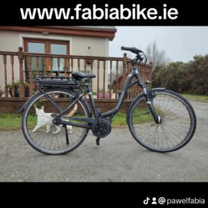 bosch e-bike